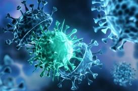 La Covid-19 a-t-elle fait plus de morts que la grippe espagnole en France ?