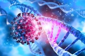 Les virus de nos ancêtres nous protègent des virus d'aujourd'hui, voici pourquoi