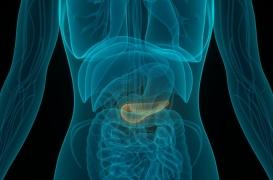 Cancer du pancréas : un espoir pour prolonger la survie de plusieurs années