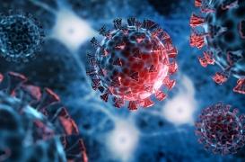 Quels sont les variants responsables de la reprise de l’épidémie ?