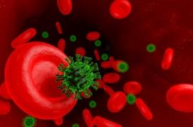 Covid long : des caillots sanguins à l'origine de la persistance des symptômes ?