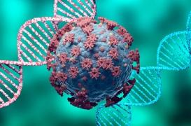 Variants de la Covid-19 : le SARS-CoV-2 a-t-il déjà atteint ses limites ? 