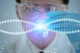 Surdité : une thérapie génique pourrait inverser les pertes d'audition