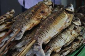 Comment le déclin de la biodiversité chez les poissons peut affecter la santé humaine