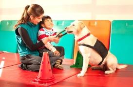 Autisme : avoir un chien d’assistance améliore le sommeil des enfants