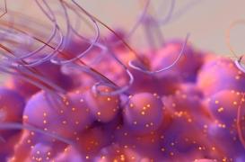 Métastases cérébrales dans le cancer du sein : le rôle d’un récepteur olfactif