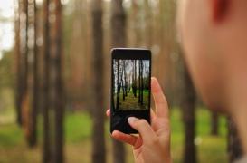 Santé mentale : regarder des vidéos de nature réduit le stress