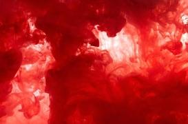 Du faux sang, une nouvelle arme pour vaincre moustiques et paludisme