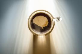 La consommation quotidienne de caféine réduirait le volume de la matière grise