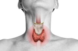 Françoise Hardy évoque sa 