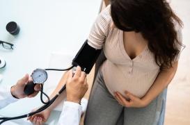 La santé cardiovasculaire pourrait être influencée avant la naissance