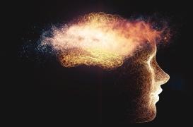 Le stress altère le fonctionnement du cerveau 