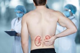 Voici la photographie de la santé rénale des Français