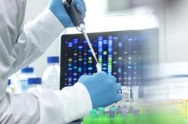 Cancer du sein : faut-il généraliser les tests sur le risque génétique ?