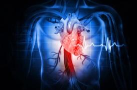 Record : le cœur d'un homme atteint les 600 battements par minute