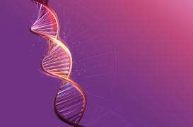 Une cause épigénétique de fausse couche identifiée et corrigée 