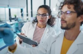 Études scientifiques : les plus farfelues ont leur palmarès !