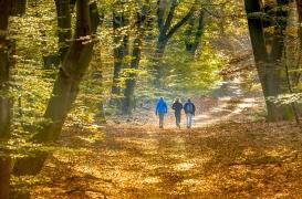 Médicaments : faire des 