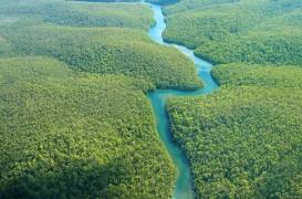 Ces indigènes ne souffrent quasiment jamais de démence