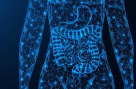 Encore une victoire de l’immunothérapie sur le cancer, mais…