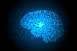 L’épilepsie serait un marqueur d’inégalité de santé en France