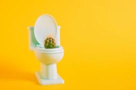 Hémorroïdes externes : pourquoi sont-elles douloureuses ?