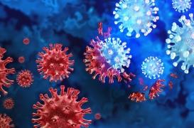Covid-19 : l’infection peut-elle réveiller les virus qui sommeillent en nous ?