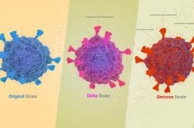 Covid-19 : l’ordre d’apparition des symptômes n’est pas le même suivant le variant qui nous infecte