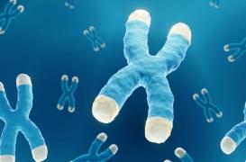 Pourquoi le nombre de centenaires est en augmentation constante ?