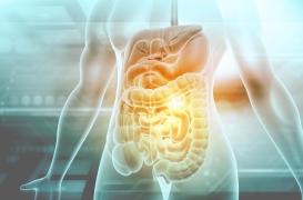 Cancer colorectal : cette maladie du foie fréquente favoriserait les métastases 