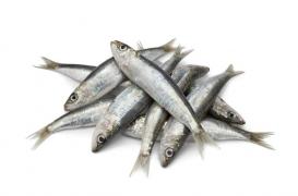 Manger beaucoup de poisson soigne l'asthme des enfants