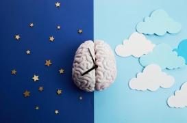 Ce cycle biologique maternel peut prédire le risque d'infection bactérienne chez un enfant