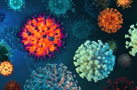 Covid : plus d'une centaine de mutations détectées chez le nouveau variant BA.2.87.1