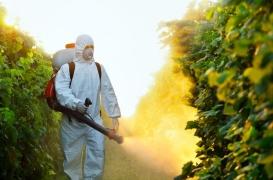 Démence : les toxines environnementales suspectées d'augmenter les cas