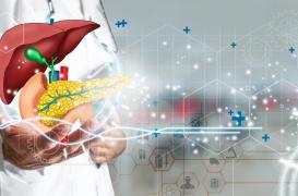 Stéatose hépatique : on comprend mieux comment le sport réduit sa gravité