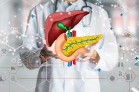 Cancer du pancréas : on a découvert comment il se propage au foie ou aux poumons
