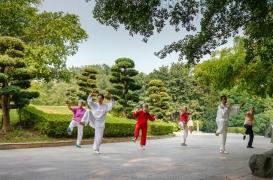 Démence : le tai-chi serait efficace contre le déclin cognitif