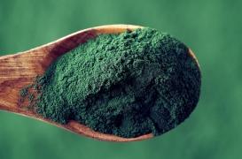 La spiruline peut-elle nous aider à nous défendre contre les virus de l’hiver ?