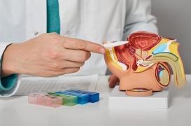 Cancer de la prostate : quels sont les signes de cette maladie dont Laurent Voulzy a souffert  ?