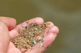 Comment les nanoplastiques endommagent-ils notre organisme ?