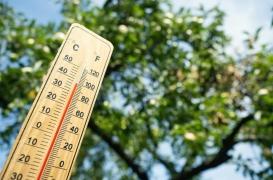Canicule : au moins 60 décès enregistrés en septembre en France