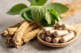 Diabète : peut-on faire baisser la glycémie grâce aux plantes ?