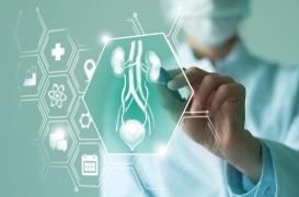 Cancer de la vessie : un implant à chimio pour éliminer les tumeurs sans chirurgie