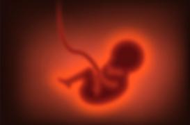 Grossesse : le traitement de la sensibilisation au facteur Rhésus pas nécessaire avant le 1er trimestre