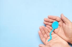 Infertilité masculine : ce fruit booste la qualité du sperme