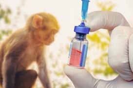 Zoonose : 4 virus transmis par les animaux tueront 12 fois plus d’ici 2050