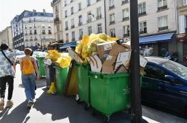 Grève des éboueurs : qu’est-ce que la leptospirose transmise par les rats ? 