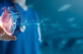 Fibrillation atriale : un anticoagulant pourrait prévenir les AVC