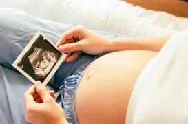 Grossesse : l'exposition au chlordécone allonge le délai pour concevoir un enfant