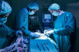 Greffe : un cœur transplanté après avoir arrêté de battre pendant 20 min 